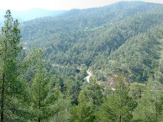 #1: View of the road to Kannavia about 175 metres from the confluence