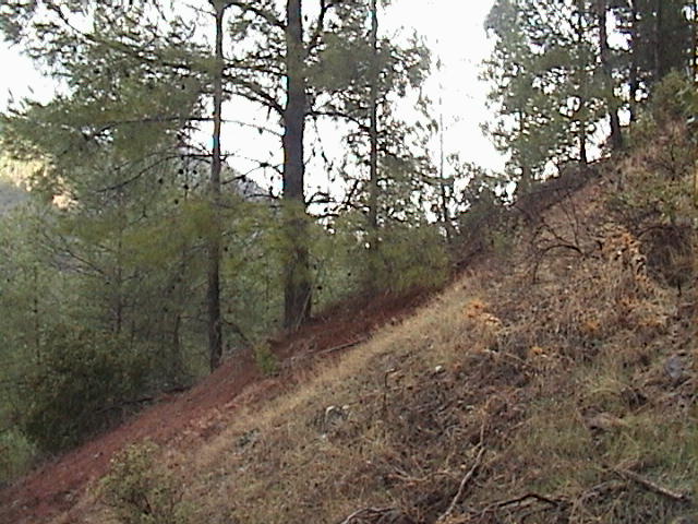 A view to the East of the Confluence Point