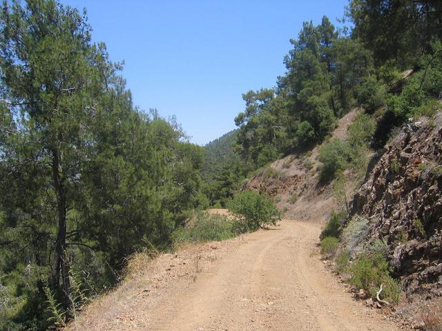 вот та самая горная дорожка в 60 метрах от точки/Mountain road in 60 m from the CP