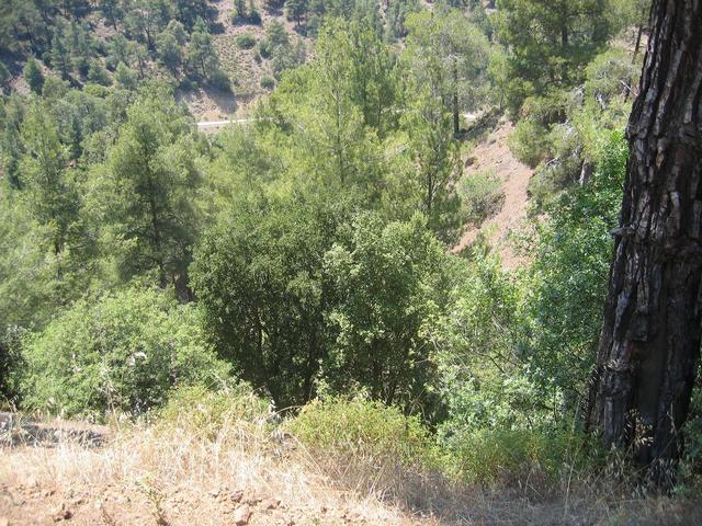 вот вид с горной дорожки на основную дорогу/View from mountain road towards main road