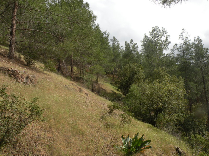 The Confluence from 15 m distance