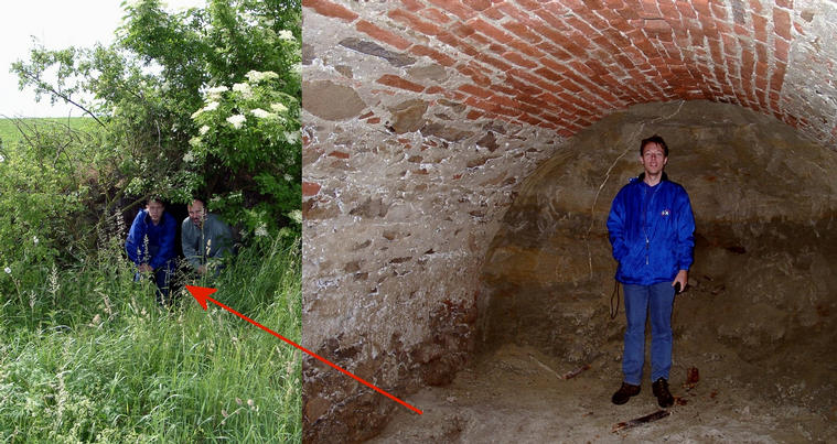 Cellar hidden by elderberry bushes in the middle of the fields