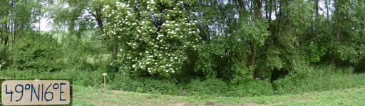 #1: Confluence at the edge of a creek (seen from northeast)