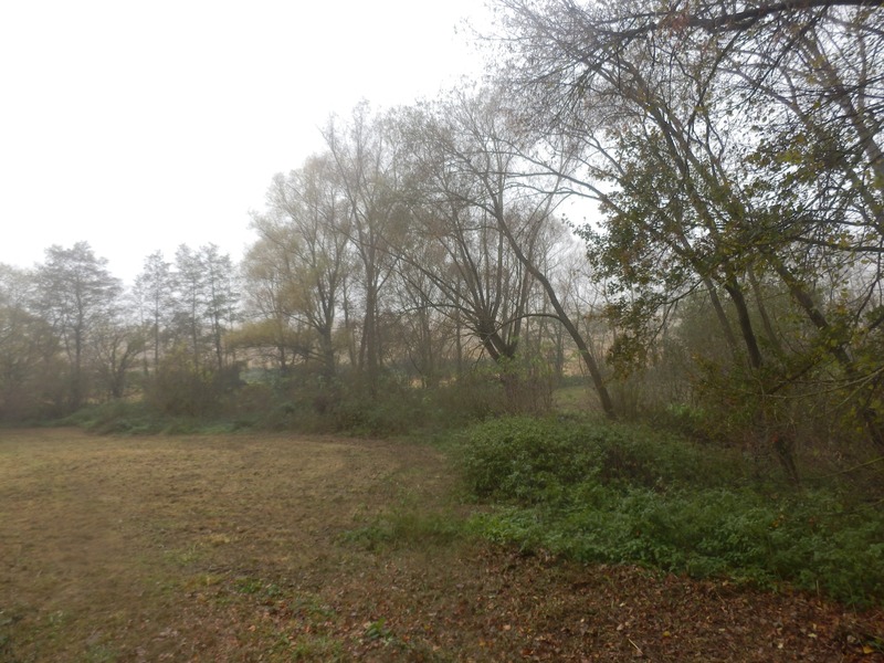 The Confluence from 15 m distance