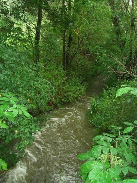 The confluence point / Der Confluence-Punkt