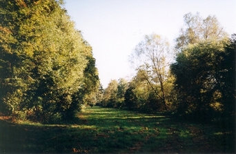 #1: General view of the confluence (towards S)