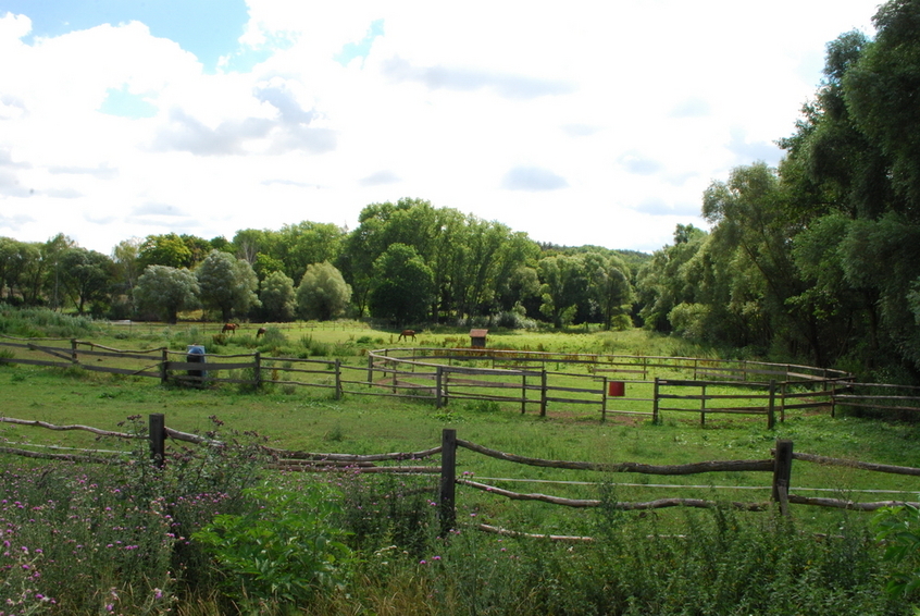 Paddock with CP behind it