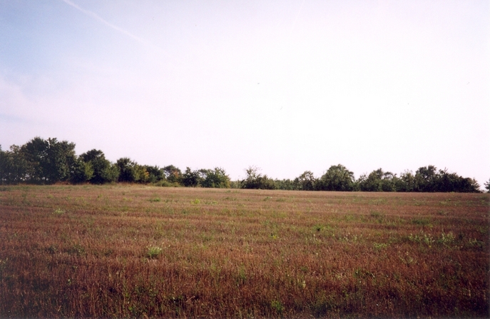 View towards SE from the confluence