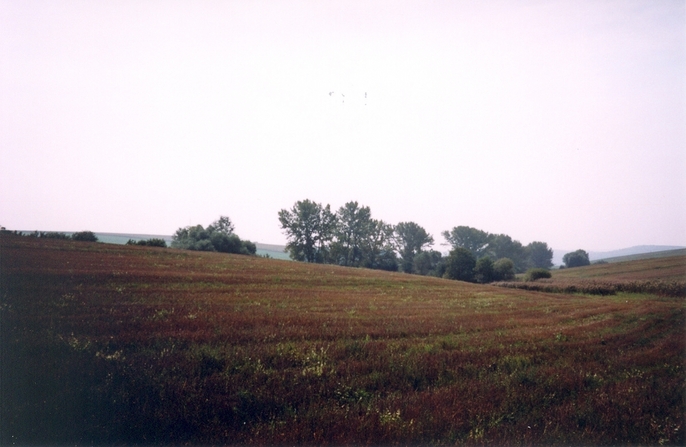 View towards SW from the confluence