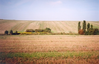 #1: General view of the confluence (towards NW)