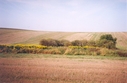 #2: View towards NW from the confluence