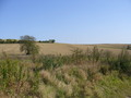 #7: General view of the landscape taken from car park; opposite to CP!