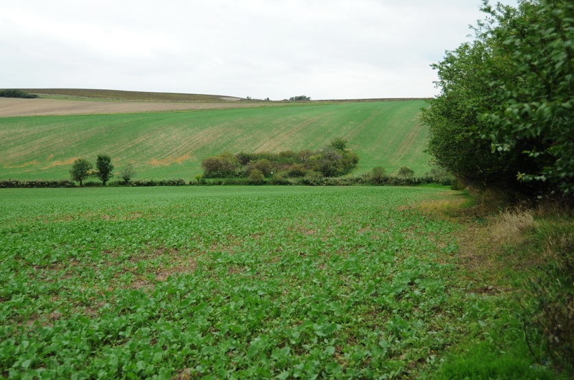 The confluence area - CP about 80 meters away