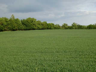 #1: The Confluence from 40 m distance