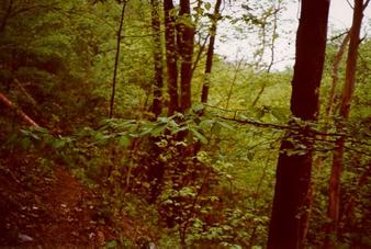 #1: View to confluence (Note the waste tube at the left side...)