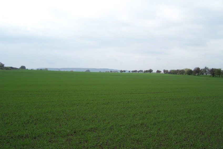 View towards W from the confluence