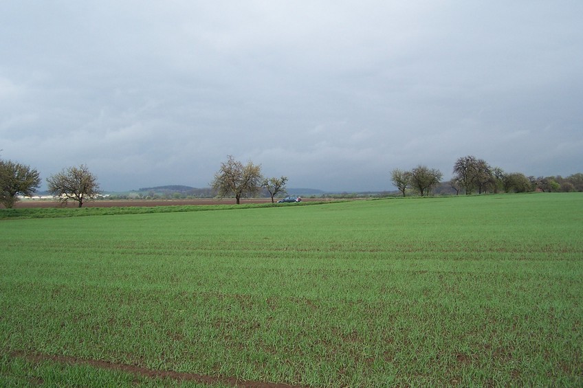 View towards E from the confluence