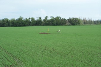 #1: General view of the confluence (towards SW)