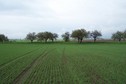 #3: View towards N from the confluence