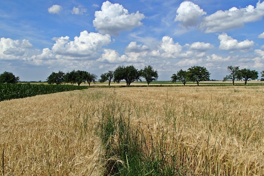 View to the north / Вид на север