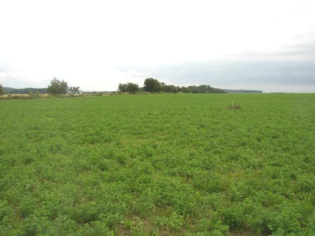 General view of the confluence area from west (approx. 60 m).