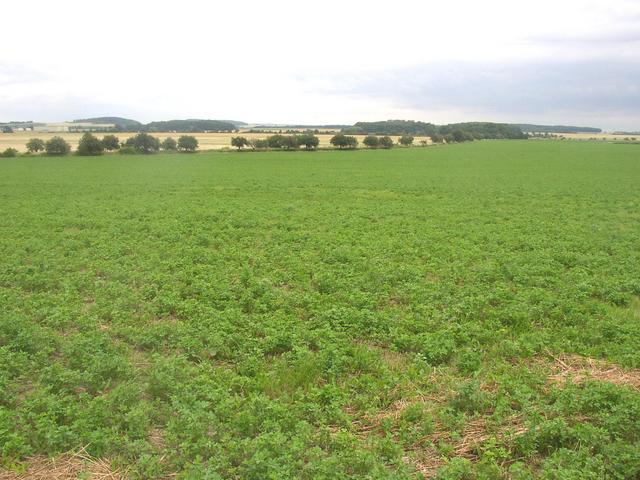 General view of the confluence area from west (approx. 280 m).