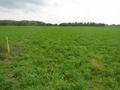 #5: View to south. The outer line of fortification is visible close to the right edge.