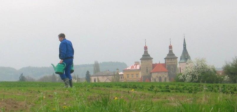 St. Stephen and a Farmer near the DCP