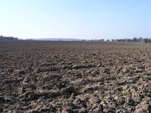 View West (towards Kouřim)