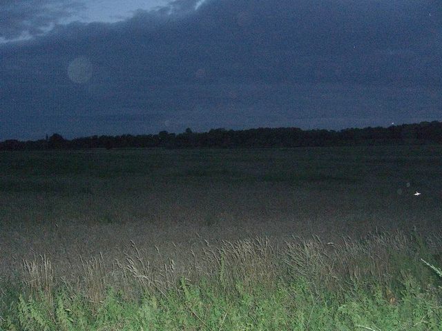 View north / Blick nach Norden