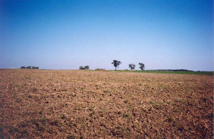 General view of the confluence (towards NE)