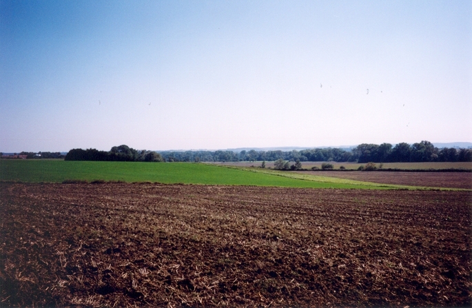 View towards SE from the confluence