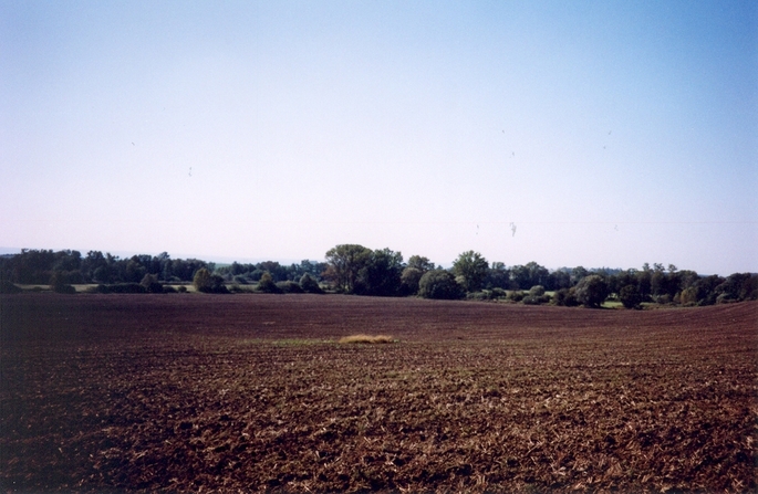 View towards SW from the confluence