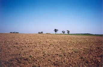 #1: General view of the confluence (towards NE)