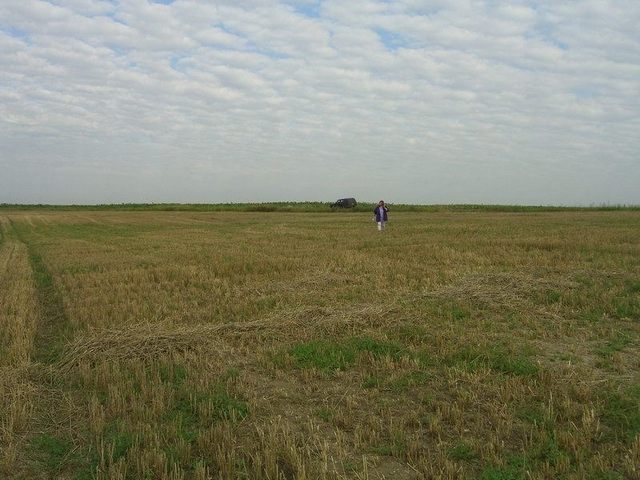 View north / Blick nach Norden