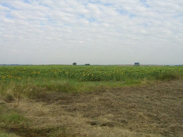 View west / Blick nach Westen