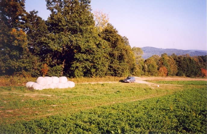 View towards NE from the confluence