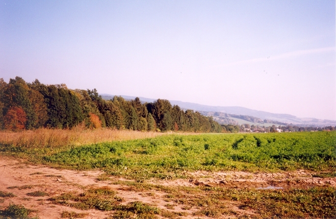 View towards SE from the confluence