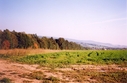 #3: View towards SE from the confluence