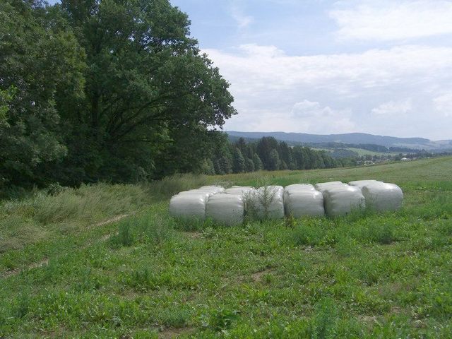 View south / Blick nach Süden