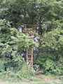 #7: Viewing Platform