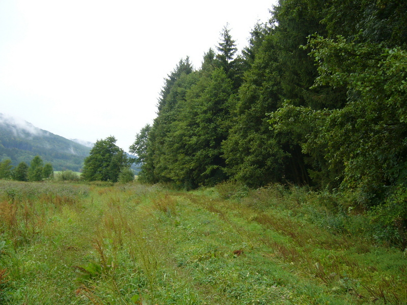 General view - Widok ogólny