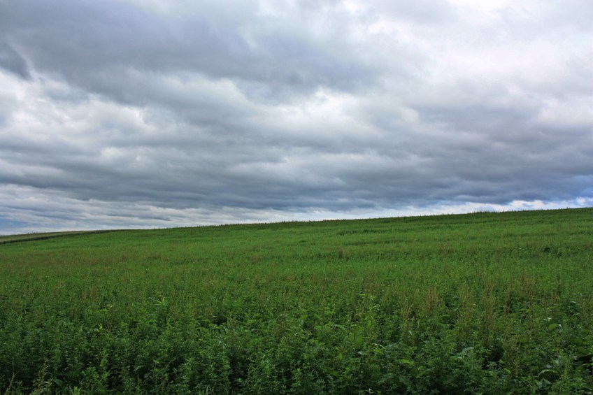 View to the south / Вид на юг