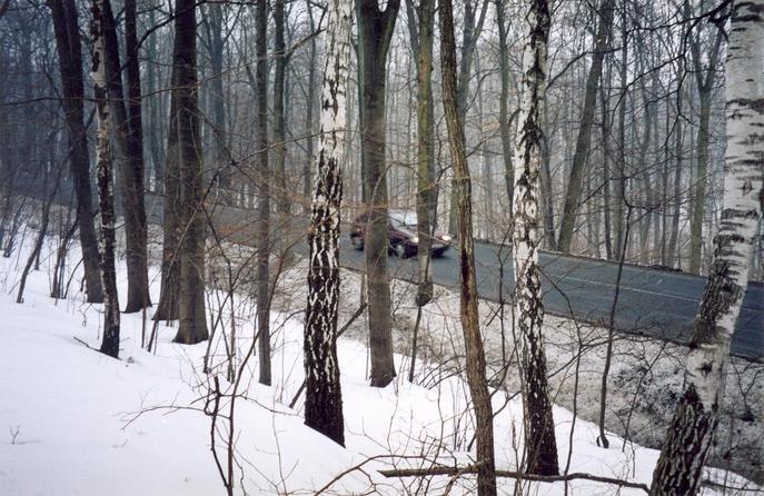 View towards W from the confluence