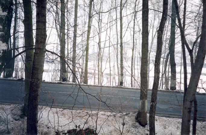 View towards N from the confluence