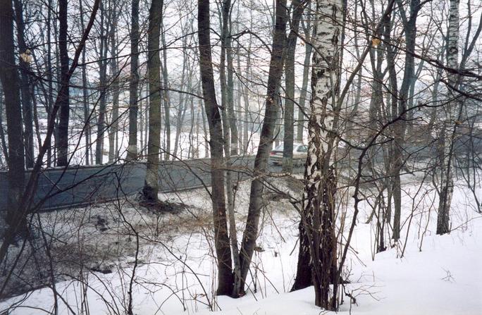 View towards E from the confluence