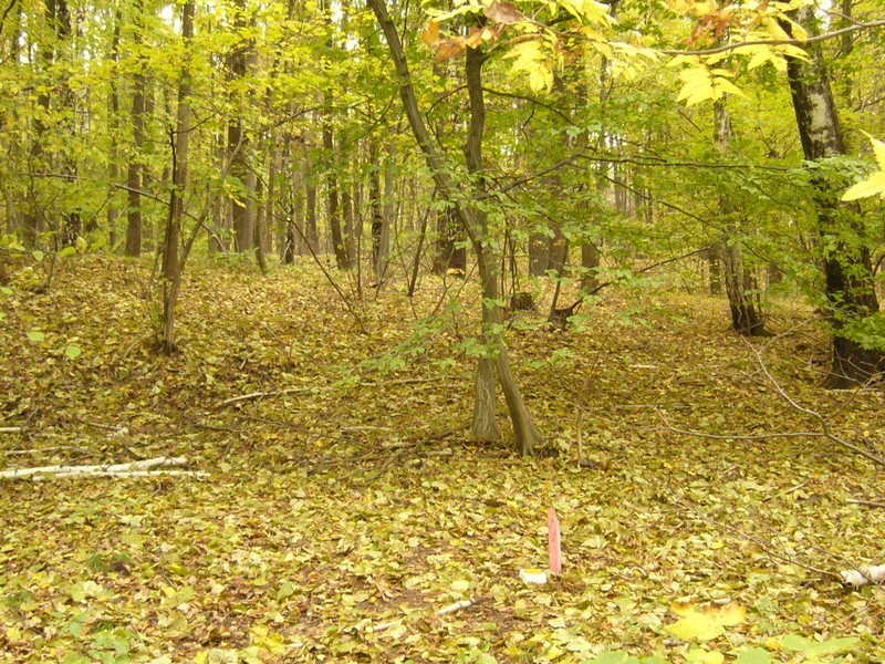 General view - Widok ogólny