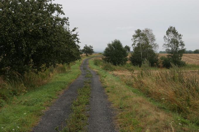 Farmtrack to Andělka.