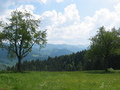 #8: View to the Feldberg