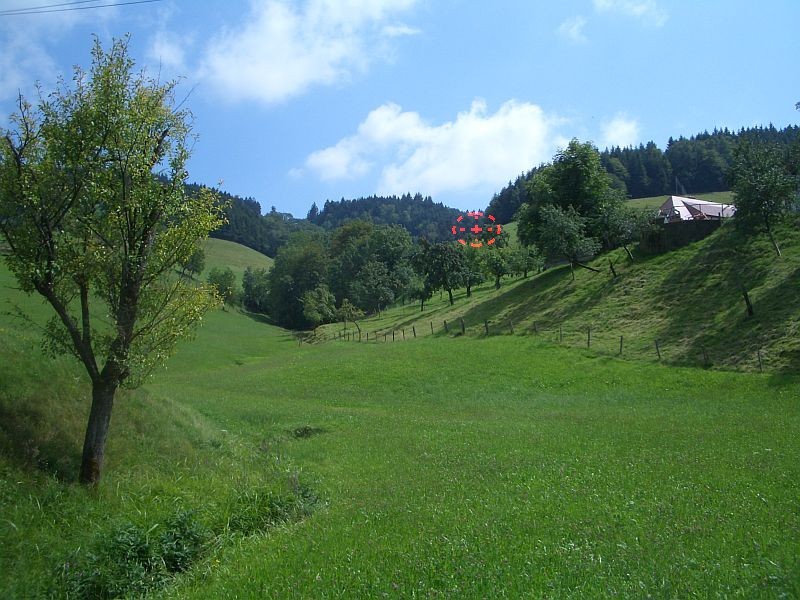 View to DCP from car